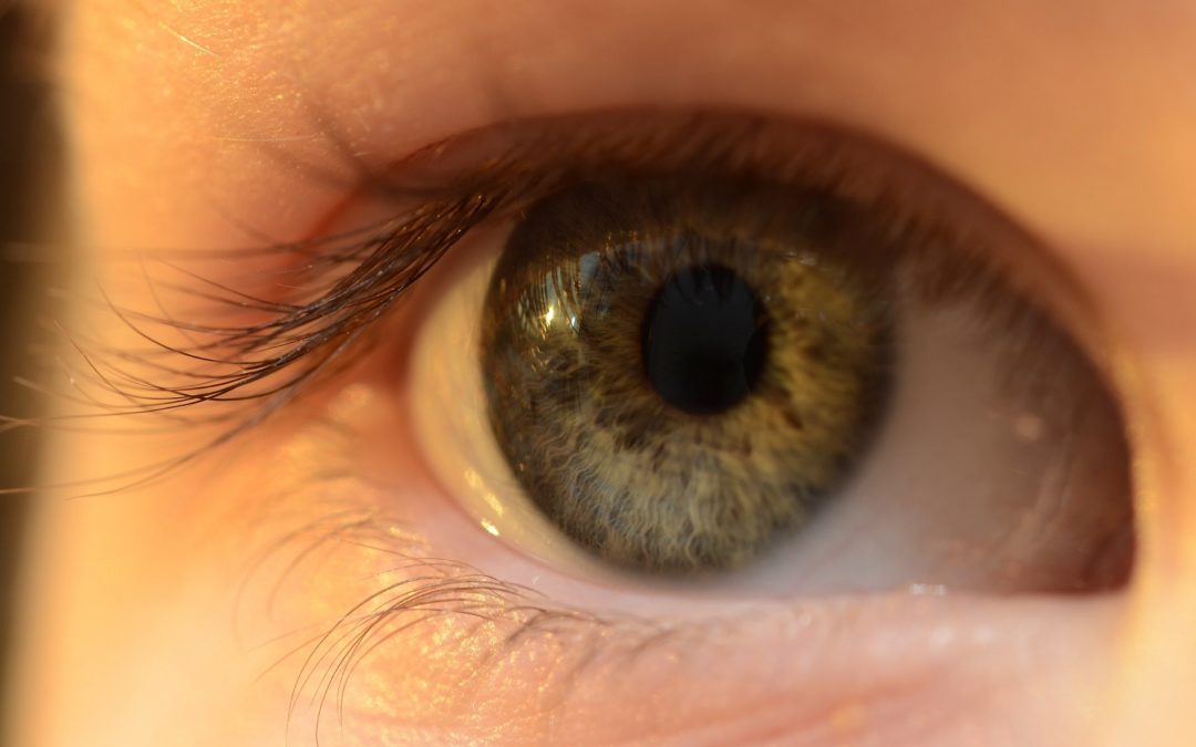 ¿Se pueden usar lentillas para compensar y para el control de miopía?