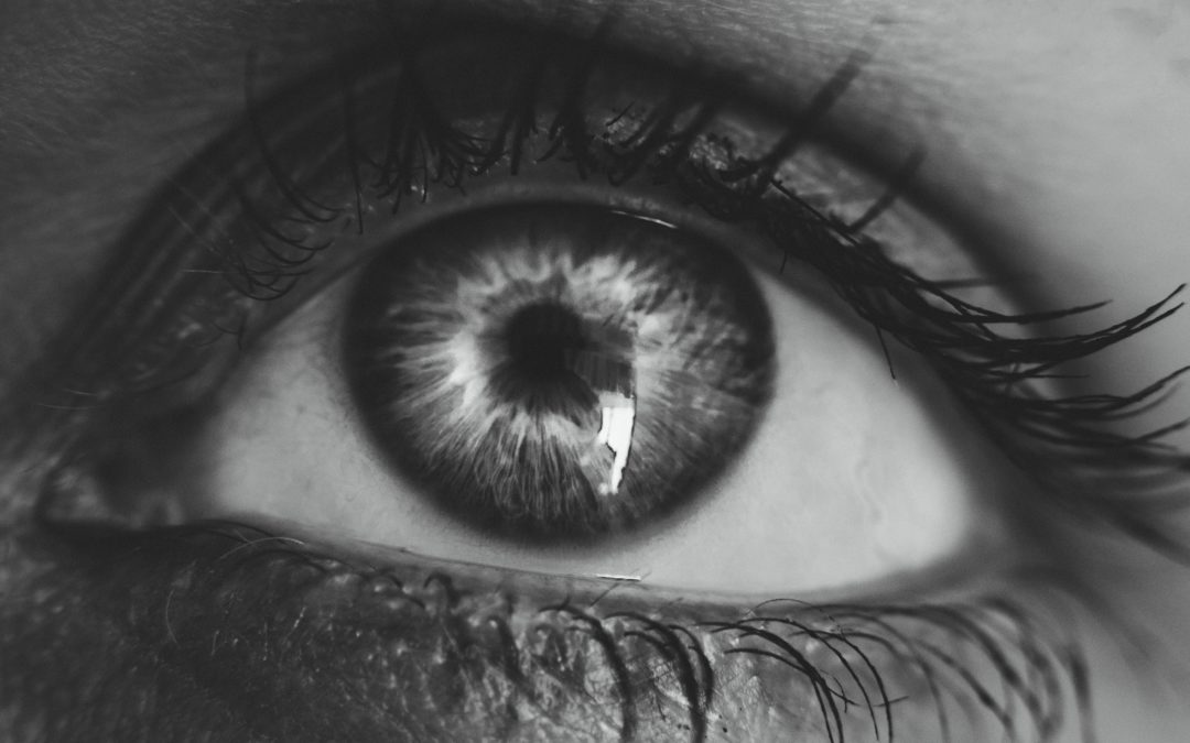 Estructura del ojo